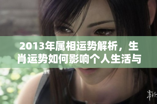 2013年属相运势解析，生肖运势如何影响个人生活与事业发展