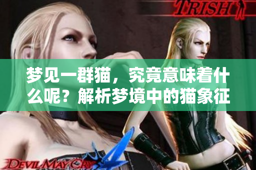 梦见一群猫，究竟意味着什么呢？解析梦境中的猫象征与含义