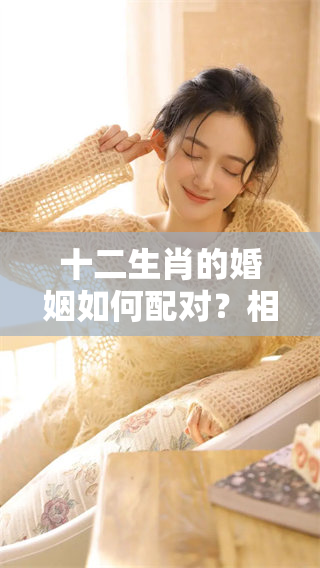 十二生肖的婚姻如何配对？相合与相克关系全解析