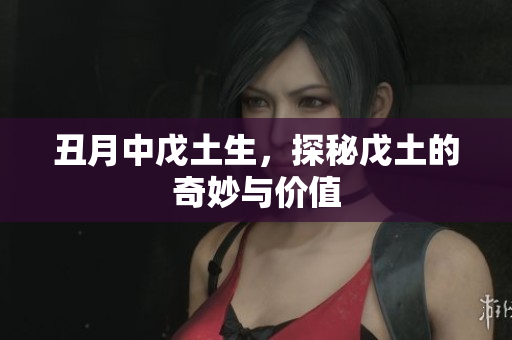 丑月中戊土生，探秘戊土的奇妙与价值