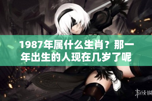 1987年属什么生肖？那一年出生的人现在几岁了呢