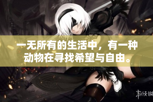 一无所有的生活中，有一种动物在寻找希望与自由。