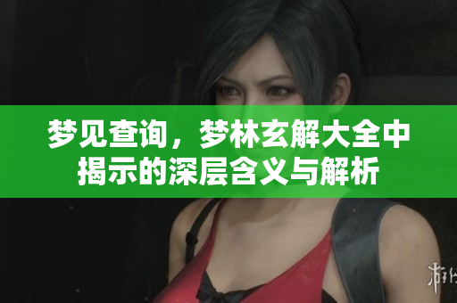 梦见查询，梦林玄解大全中揭示的深层含义与解析