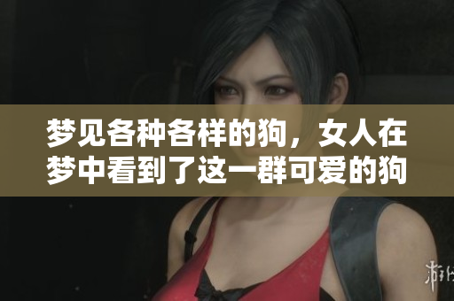 梦见各种各样的狗，女人在梦中看到了这一群可爱的狗狗。