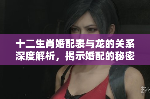 十二生肖婚配表与龙的关系深度解析，揭示婚配的秘密与建议